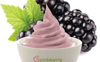 Enfes ve Çarpıcı Tadıyla Pinkberry Böğürtlen Sizleri Bekliyor