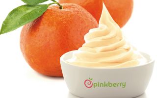 Dünyanın Sevilen ‘Dondurulmuş Yoğurt’ Markası Pinkberry’den Özel C Vitamini Deposu