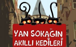 Yan Sokağın Akıllı Kedileri