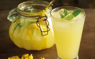 Taptaze Limonlar Ustalıkla Buluştu