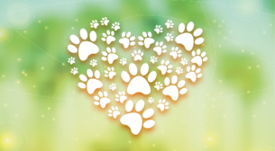 Happy Pets Day