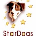 1.StarDogs İstanbul Uluslararası Pozitif Köpek Eğitim Semineri 