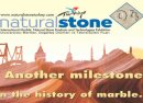 Naturel Stone 20