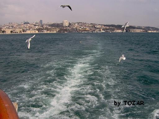 İstanbul Boğazı - Nuray Tozar