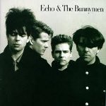 Echo - The Bunnymen 