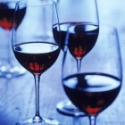 Gusto Şarap Kursları