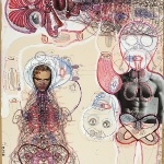 Anatomia Metamorphosis sergisi 