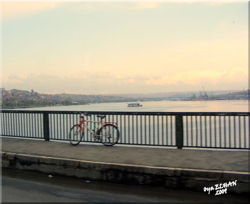 Köprüden İstanbul - Oya Elhan