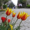 © Soğukçeşme Sokağı (Sultanahmet) - Şahin Uzma