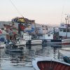© Sarıyer Balıkçı Barınağı - Sinan