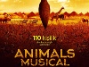 Animals Musical