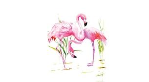 Tuval Boyama Flamingo