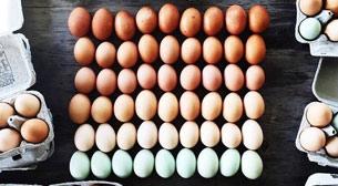 Yumurtanın 50 Tonu