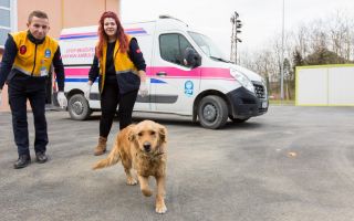 Sokak Hayvanlarına Özel Klinik ve Ambulans