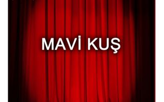 Mavi Kuş