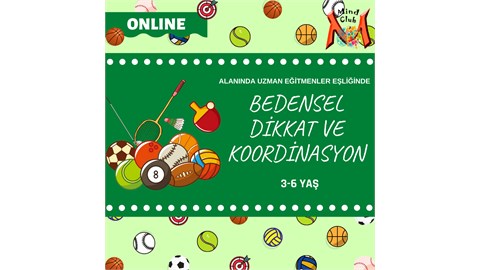 ONLINE BEDENSEL DİKKAT VE KOORDİNASYON