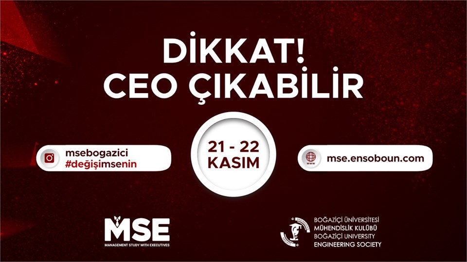 Management Study with Executives (MSE)