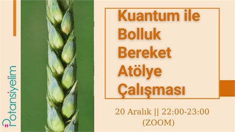 Kuantum ile Bolluk Bereket Atölye Çalışması