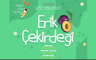 Erik Çekirdeği