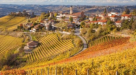 Toscana Bölgesi ve Bağları Sanal Ge