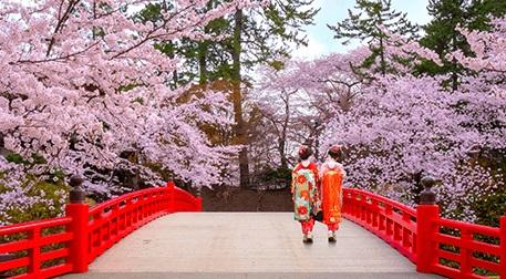 Japonya ve Kyoto Sanal Şehir Turu