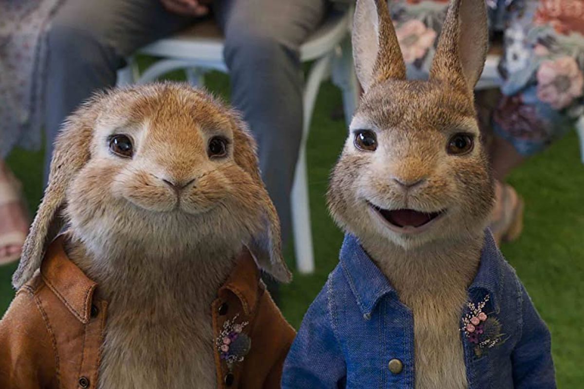 Peter Rabbit: Kaçak Tavşan