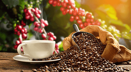 Kahve: Efsunlu İçeceğin Yolculuğu