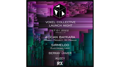 VOXEL COLLECTIVE LAUNCH NIGHT