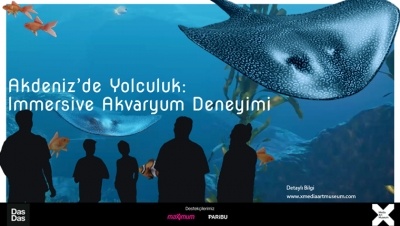 Akdeniz’de Yolculuk: Immersive Akvaryum Deneyimi