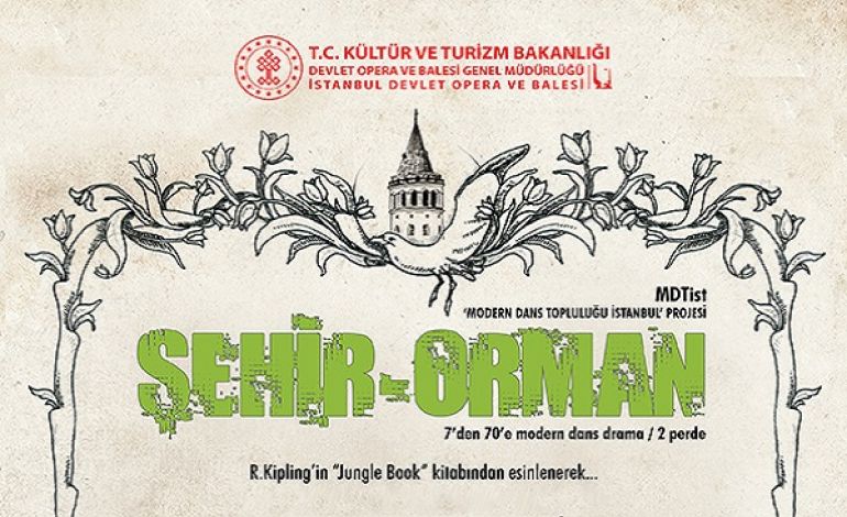 Şehir Orman (City-Jungle) İstanbul DOB ( MDT İstanbul)