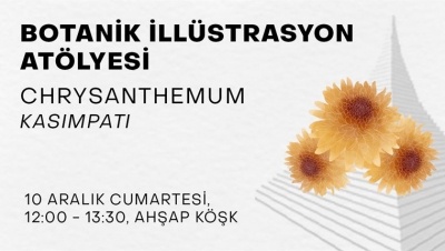 Botanik İllüstrasyon Atölyesi - Chrysanthemum