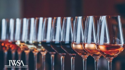 Wset 2.Seviye Wine Yeterlilik Programı