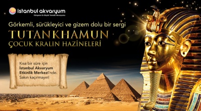 Tutankhamun, Çocuk Kralın Hazineler