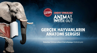 Body Worlds Animal Inside Out - Ger