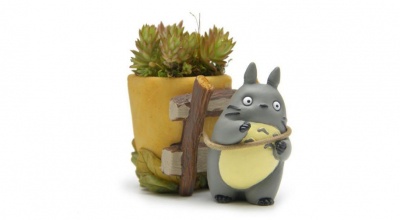 Heykel Workshop - Totoro Saksı