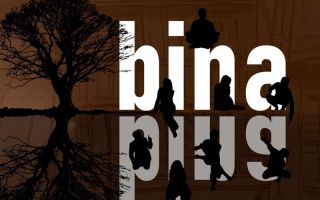 Bina