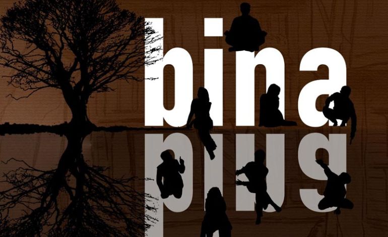 Bina