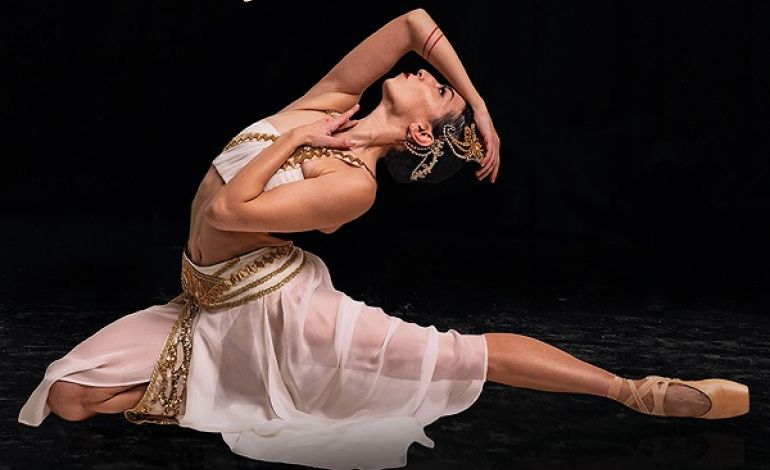 La Bayadere İDOB