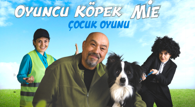 Oyuncu Köpek Mie