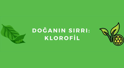 Doğanın Sırrı