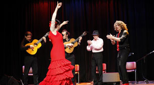 Flamenco Reina