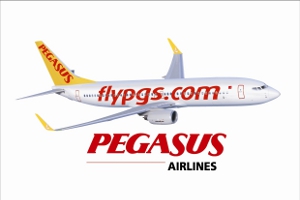 Pegasus Plus'la 3 Adımda Bileti Bedavaya Getirmenin Yolları